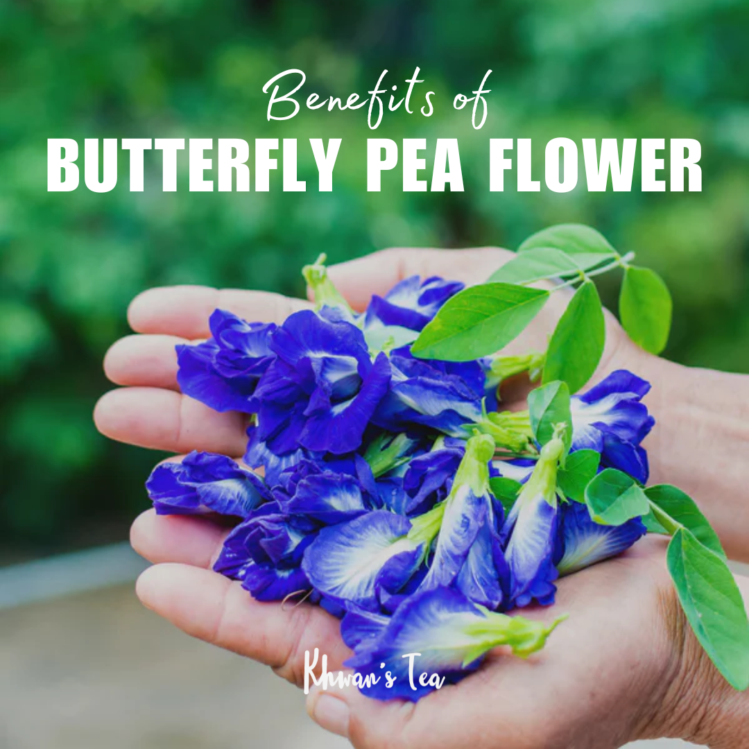 Amazing Benefits of Butterfly Pea Flower Non GMO Gluten free No sugar