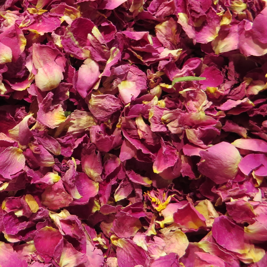 Dried Rose Petals Bulk Pack Wholesale Pure Natural Organic Herbal Flower Tea Vegan Healthy Product of Thailand